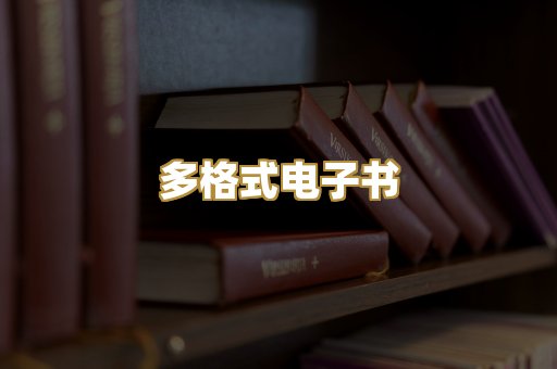 多格式电子书